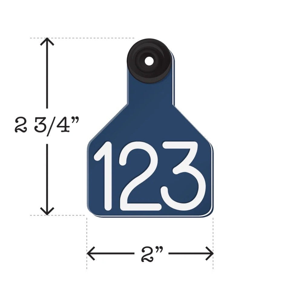 Keychain Tag - Custom