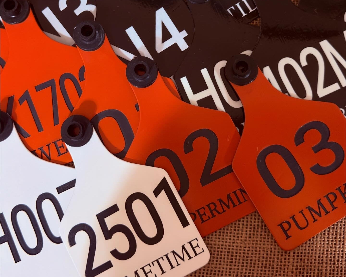 Cattle ID Ear Tag - Double Sided (as low as $5.00)