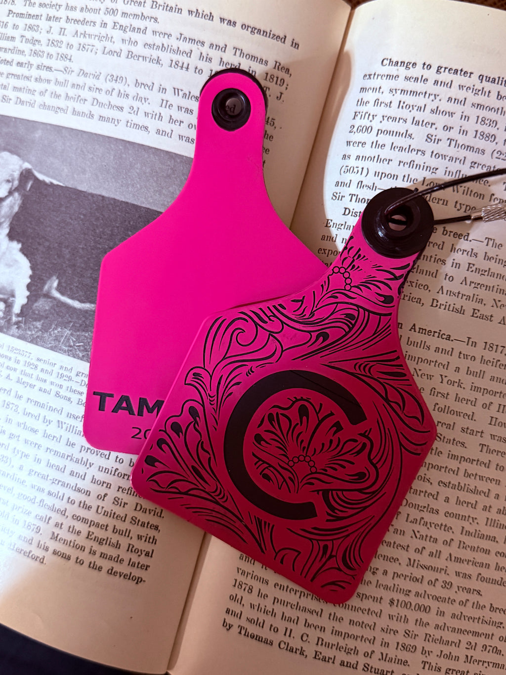 “Tooled & Branded”  Cattle Tag Luggage Tag