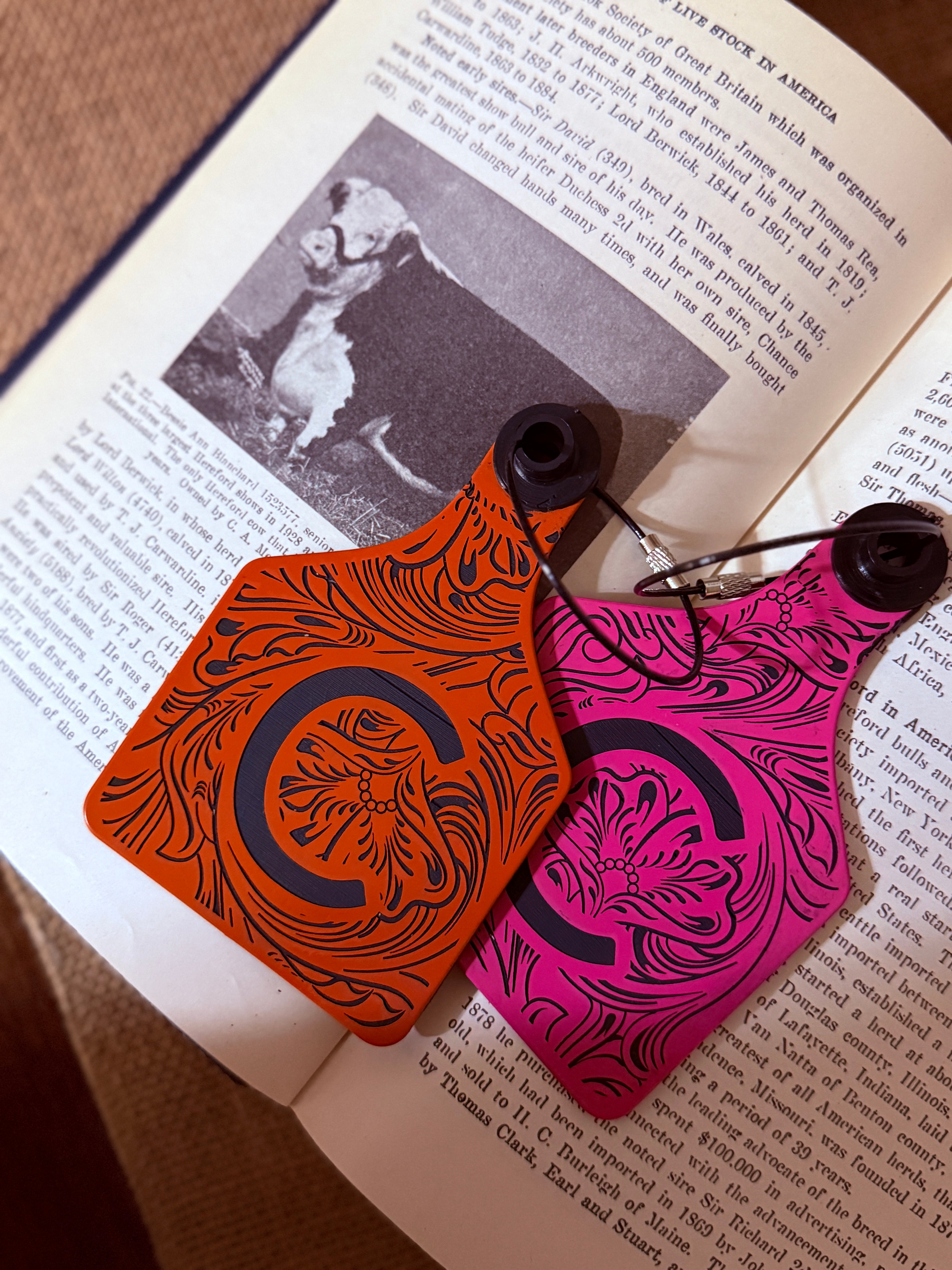 “Tooled & Branded”  Cattle Tag Luggage Tag