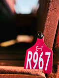 Cattle ID Ear Tag - Single Sided (as low as $4.00)