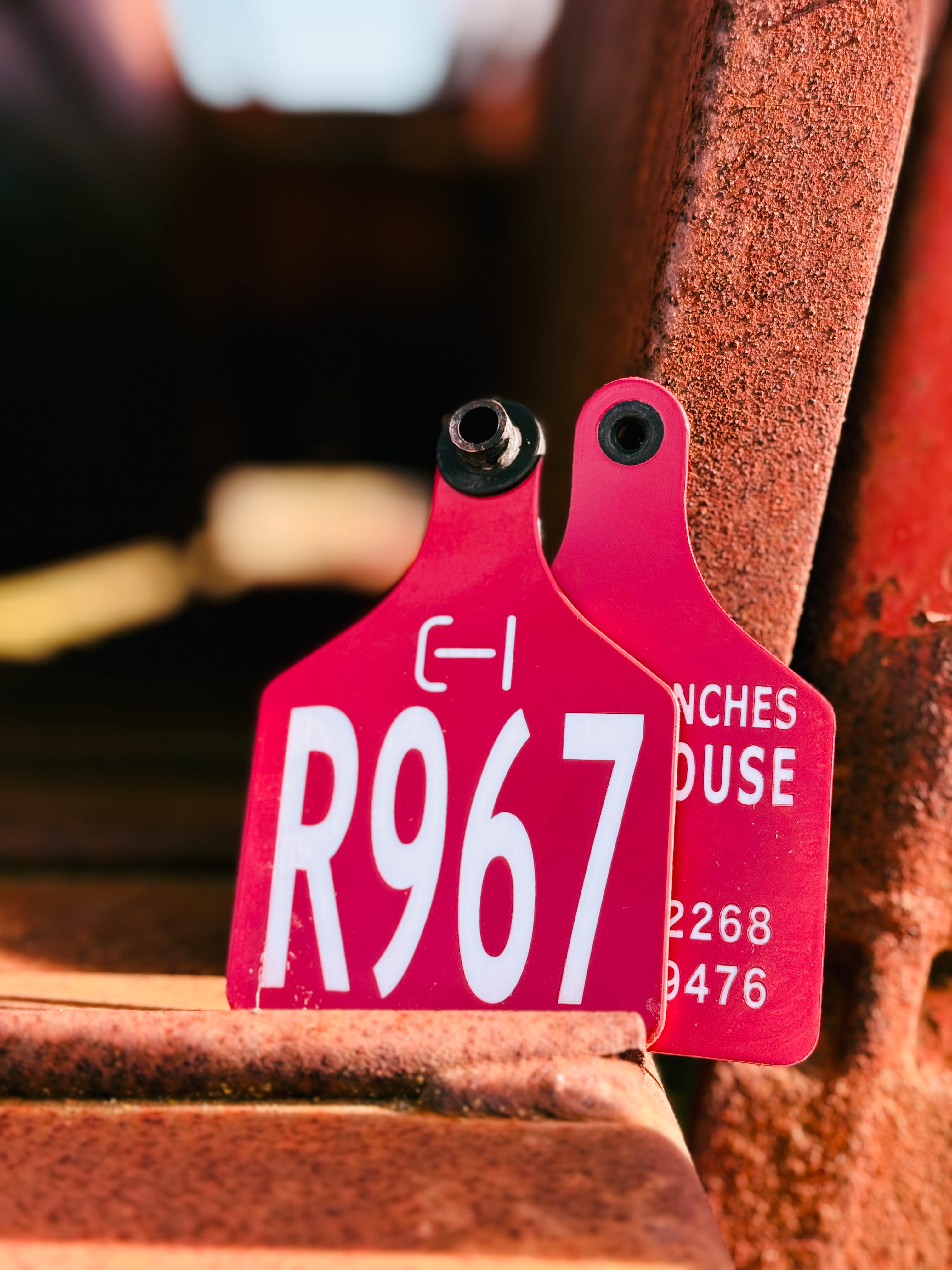 Cattle ID Ear Tag - Double Sided (as low as $5.00)