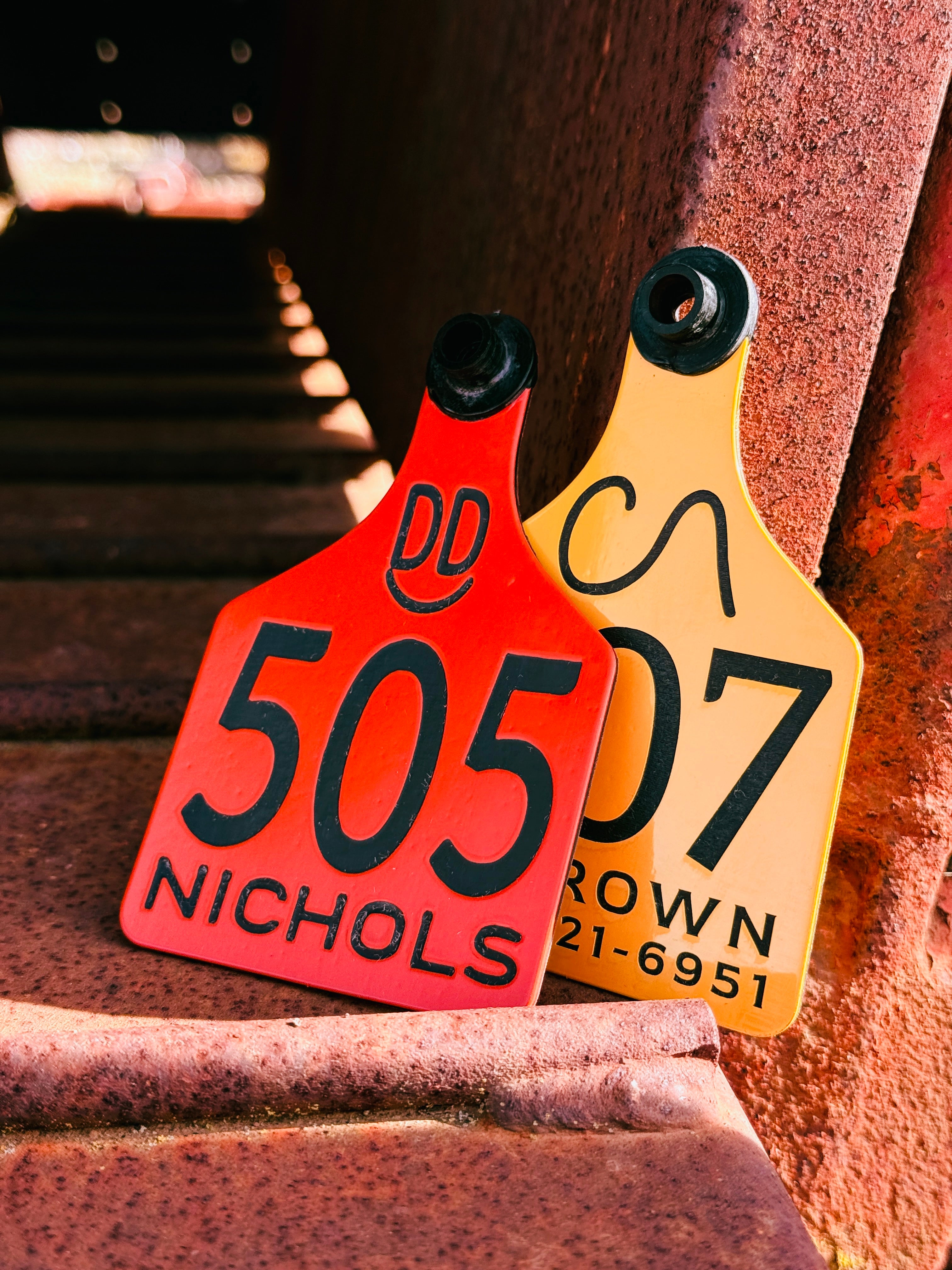 Cattle ID Ear Tag - Double Sided (as low as $5.00)