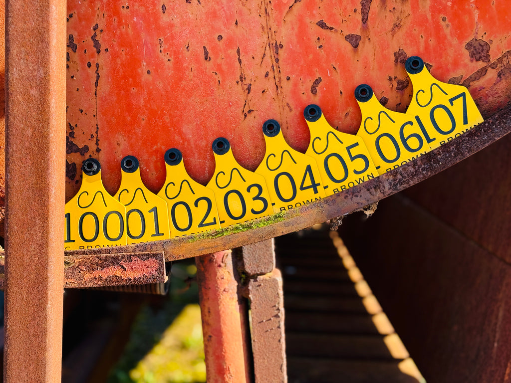 Cattle ID Ear Tag - Single Sided (as low as $4.00)