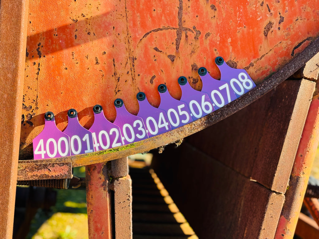 Cattle ID Ear Tag - Single Sided (as low as $4.00)