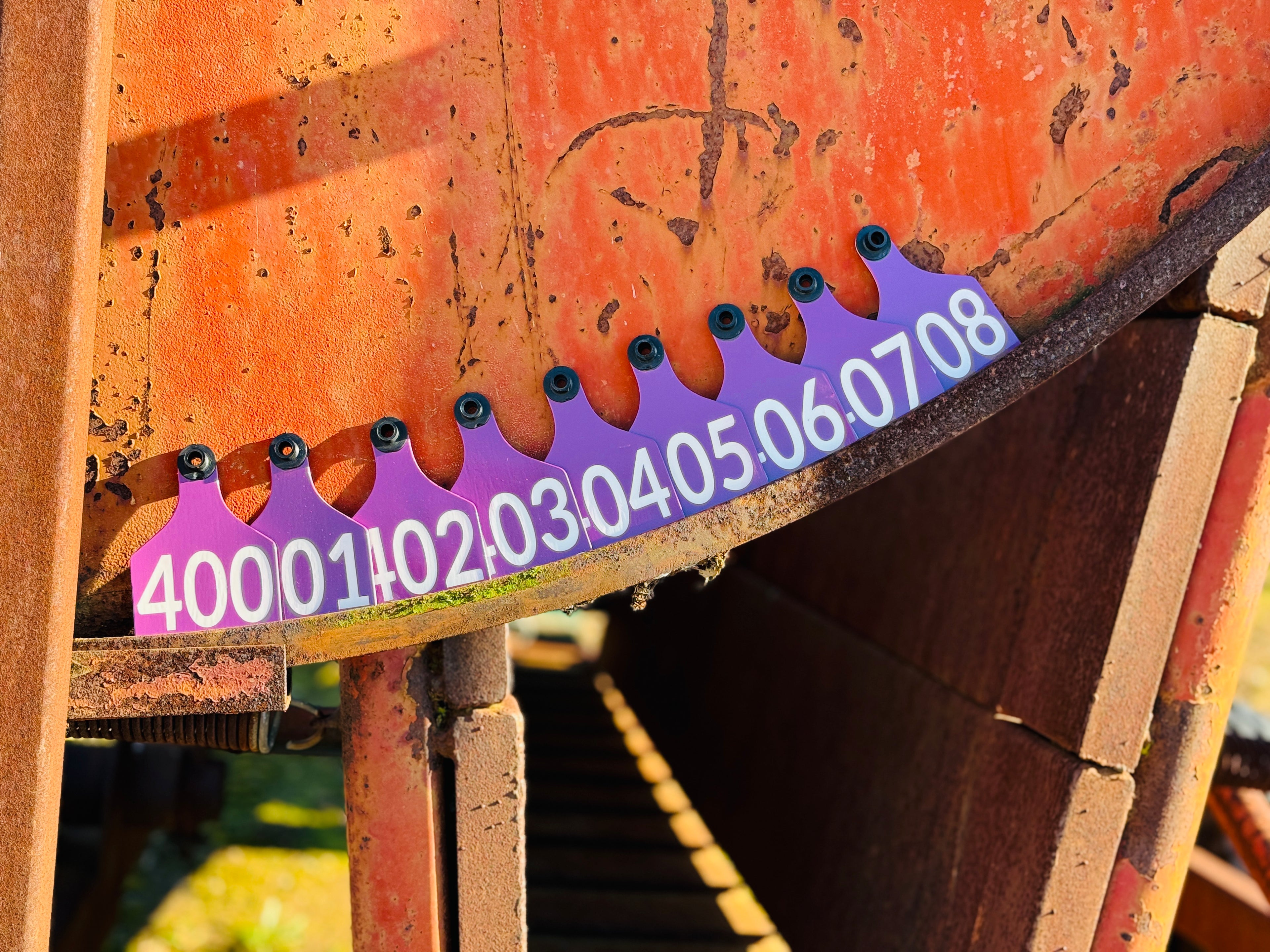 Cattle ID Ear Tag - Single Sided (as low as $4.00)