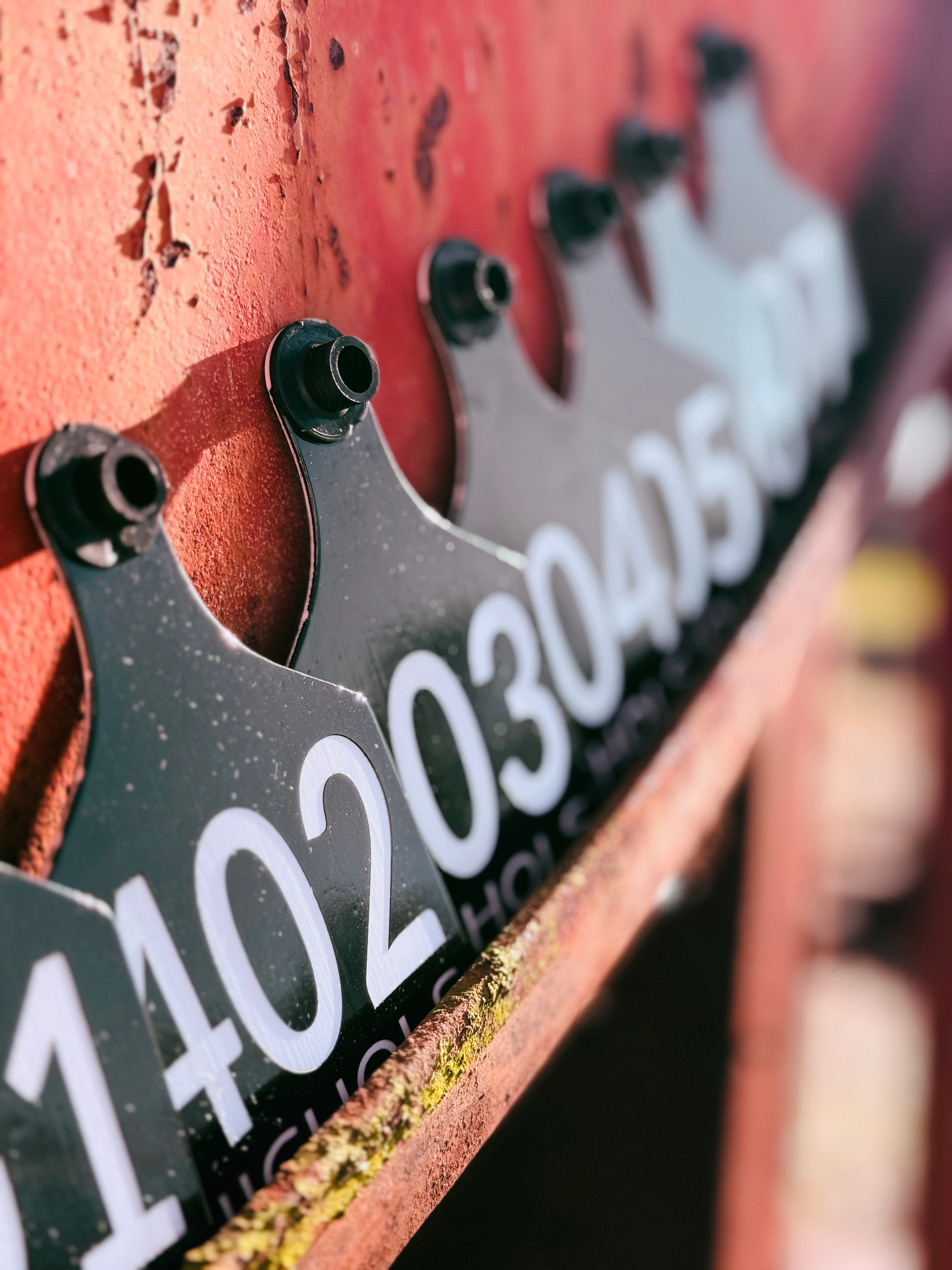 Cattle ID Ear Tag - Double Sided (as low as $5.00)